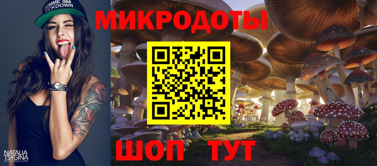 Котовск  Псилоцибиновые грибы Psilocybe  Вход с VPN 